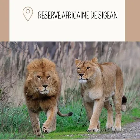 Lejlighed Les Loriots